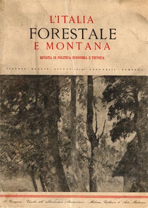 Libro L'Italia forestale e montana